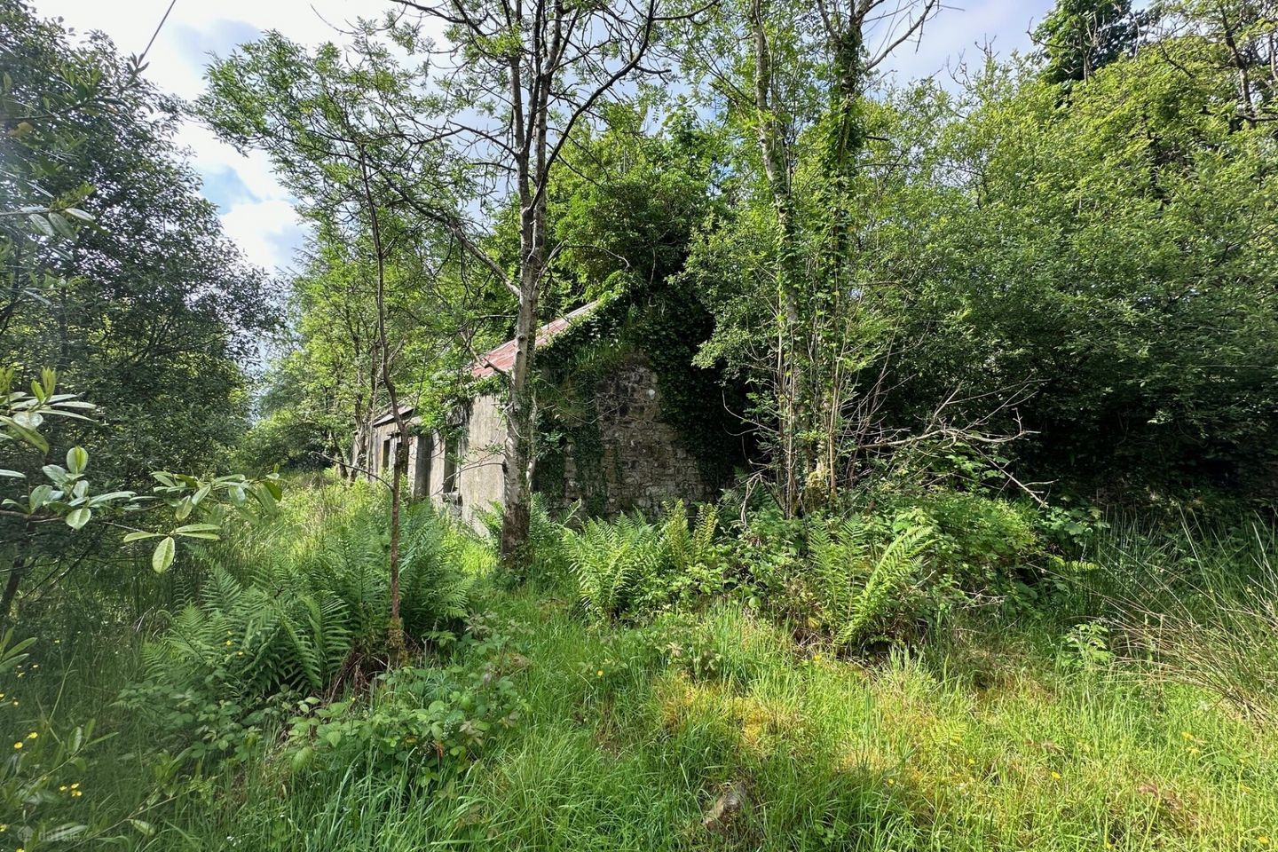 Bragan,, Knockatallan,, Co. Monaghan