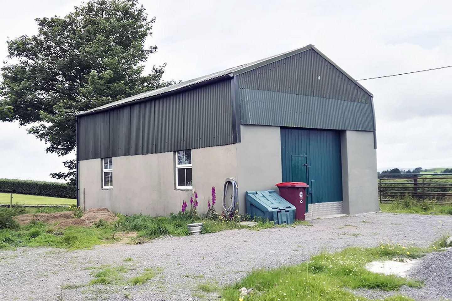 Forenaght, Castlehaven, Skibbereen, Co. Cork, P81C677