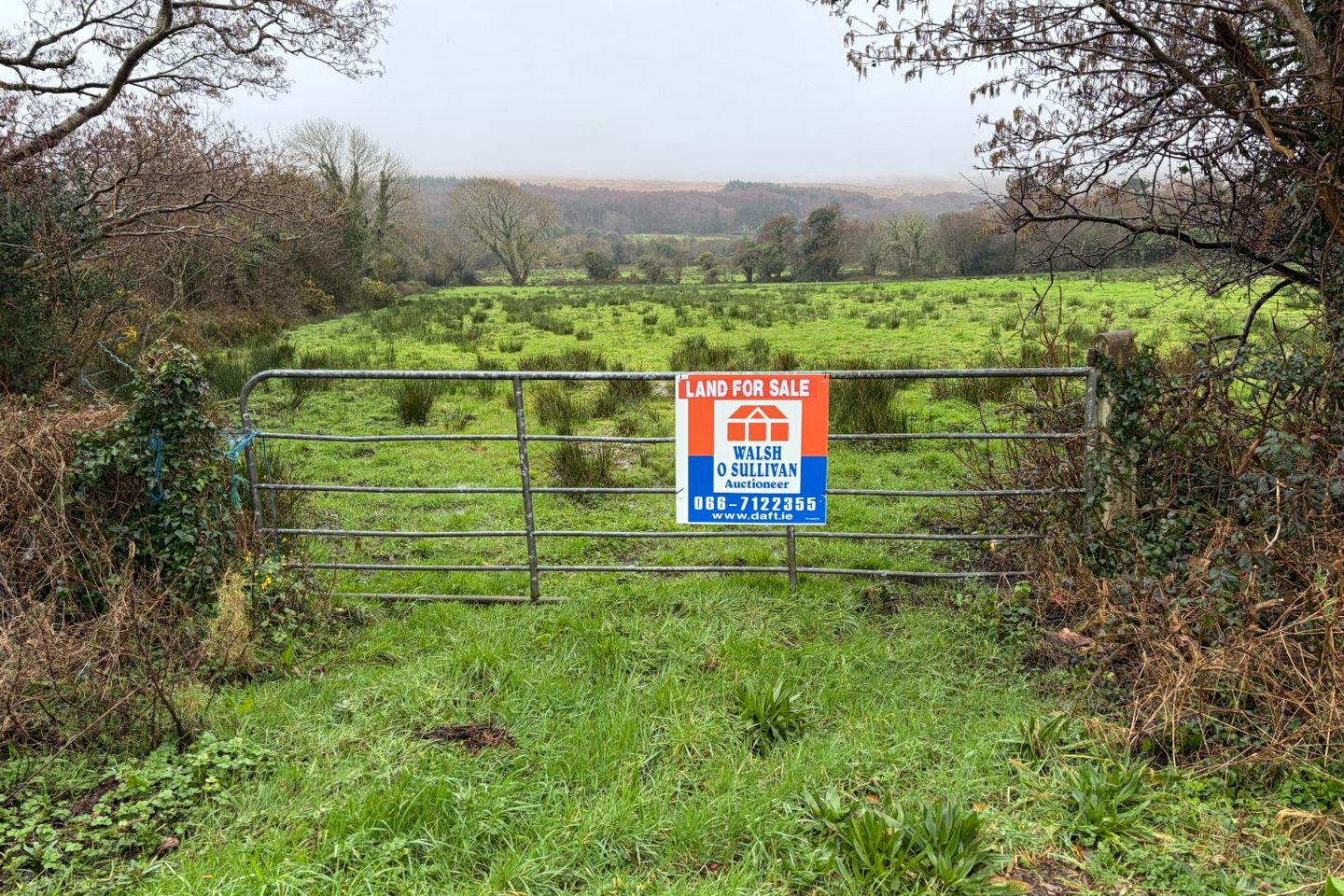 Clahane, Ballyard, Tralee, Co. Kerry