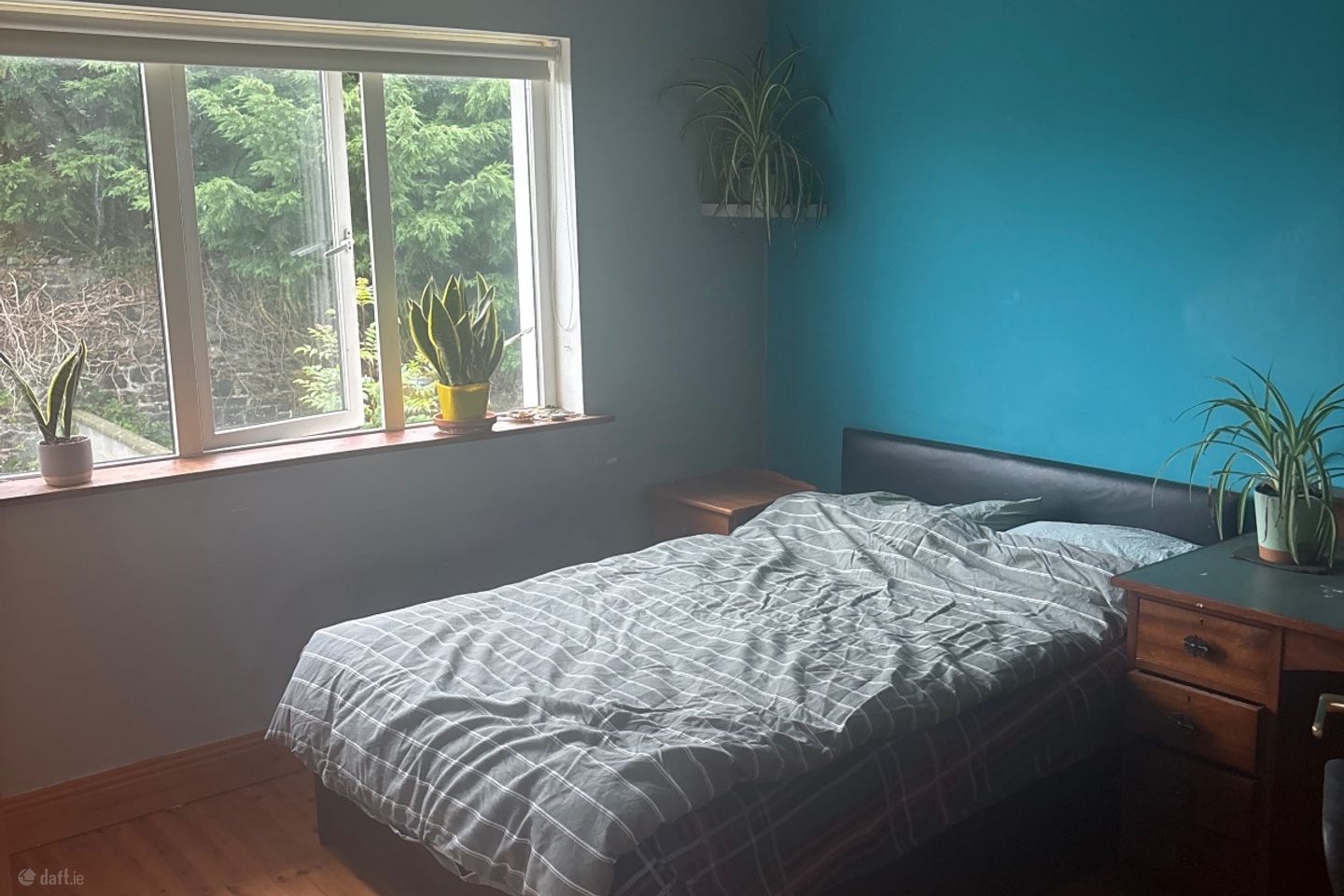 Killeen Wood, Tralee, Co. Kerry, Tralee, Co. Kerry