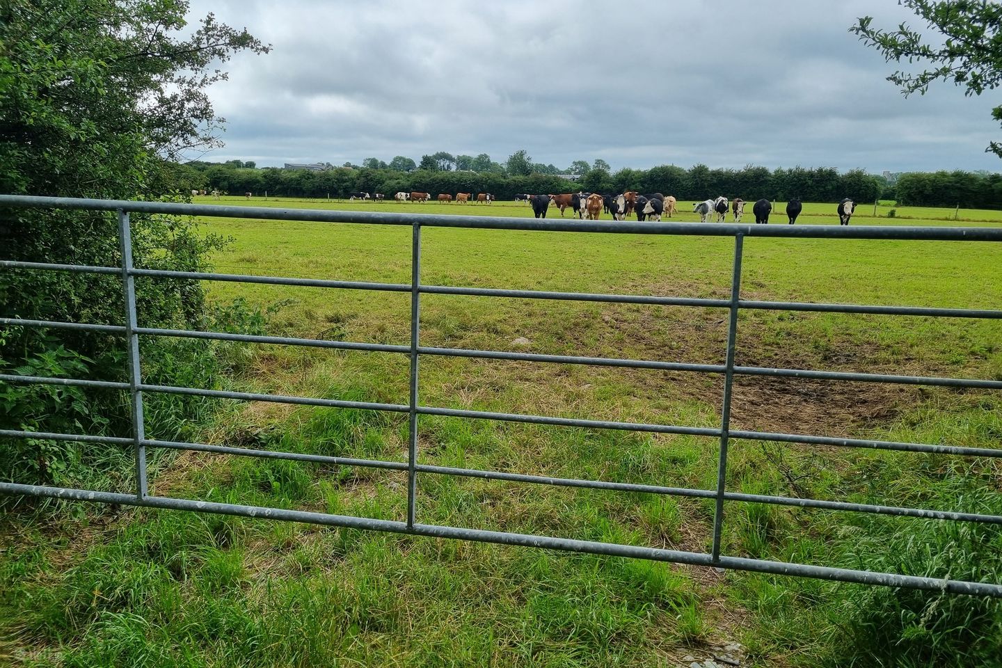 Rathmore North, Meanus, Co. Limerick