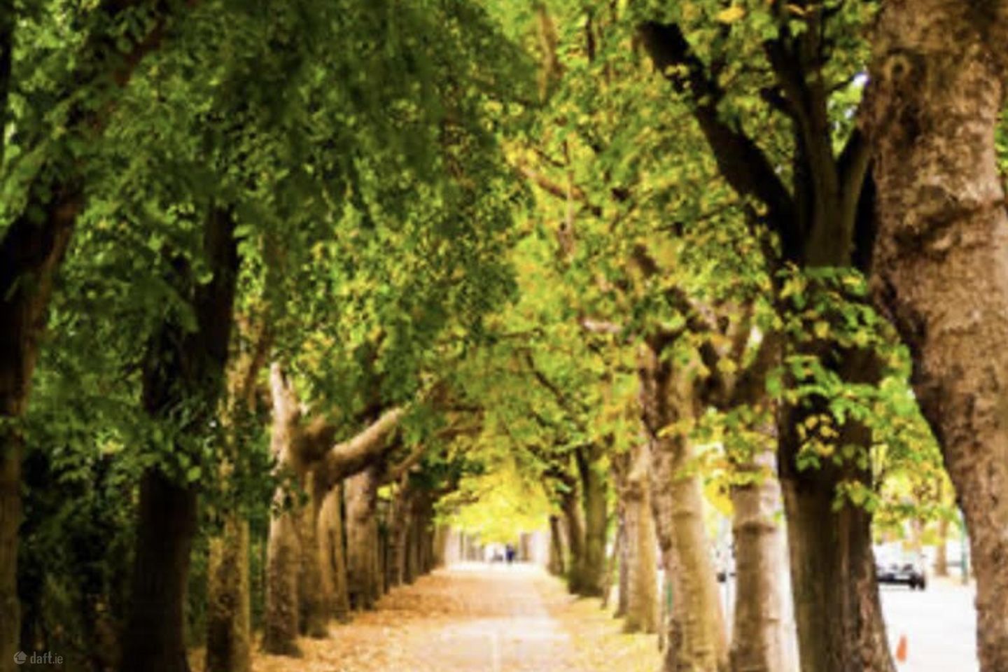 102 Griffith Avenue, Drumcondra, Dublin 3, D09X3V7