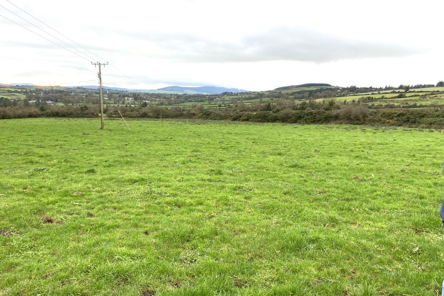Moreabbey, Galbally, Kilross, Co. Tipperary