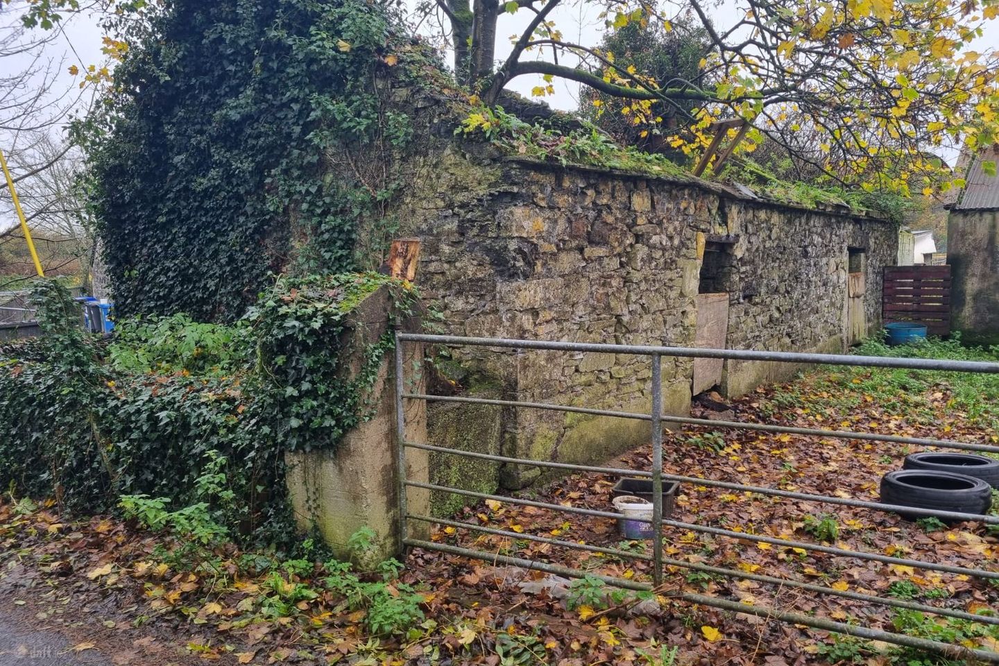 Derryfadda (Derelict residence), Clonlara, Co. Clare