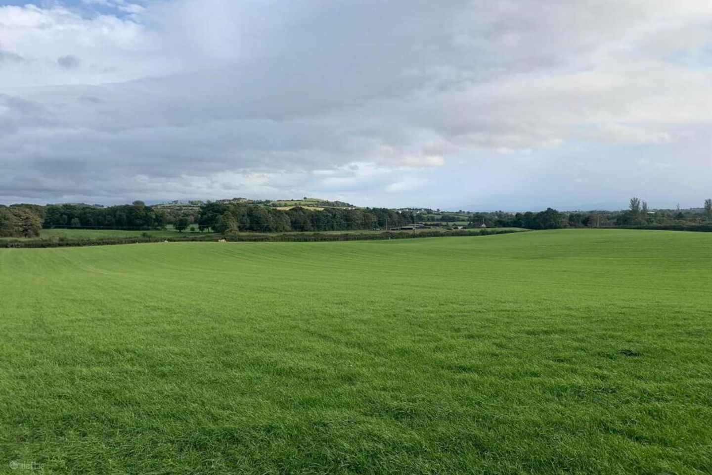 17 Acres, Of New Grass For 1st Cut Cut, Urra, Ballycommon, Co. Tipperary