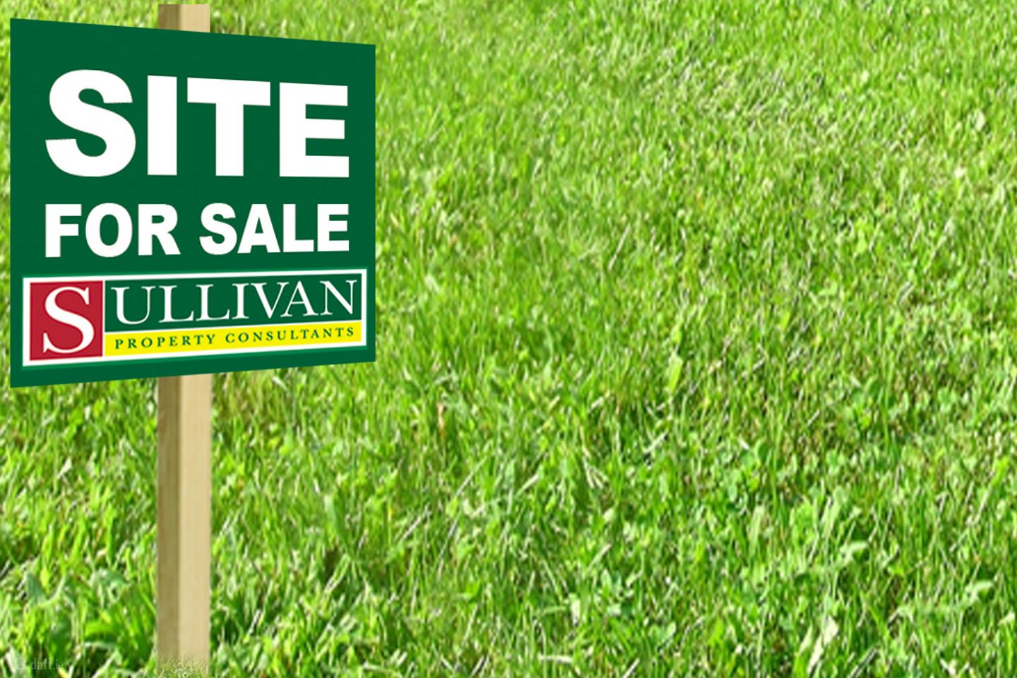 Carstown, Termonfeckin, Ballymakenny, Co. Louth, A92W327