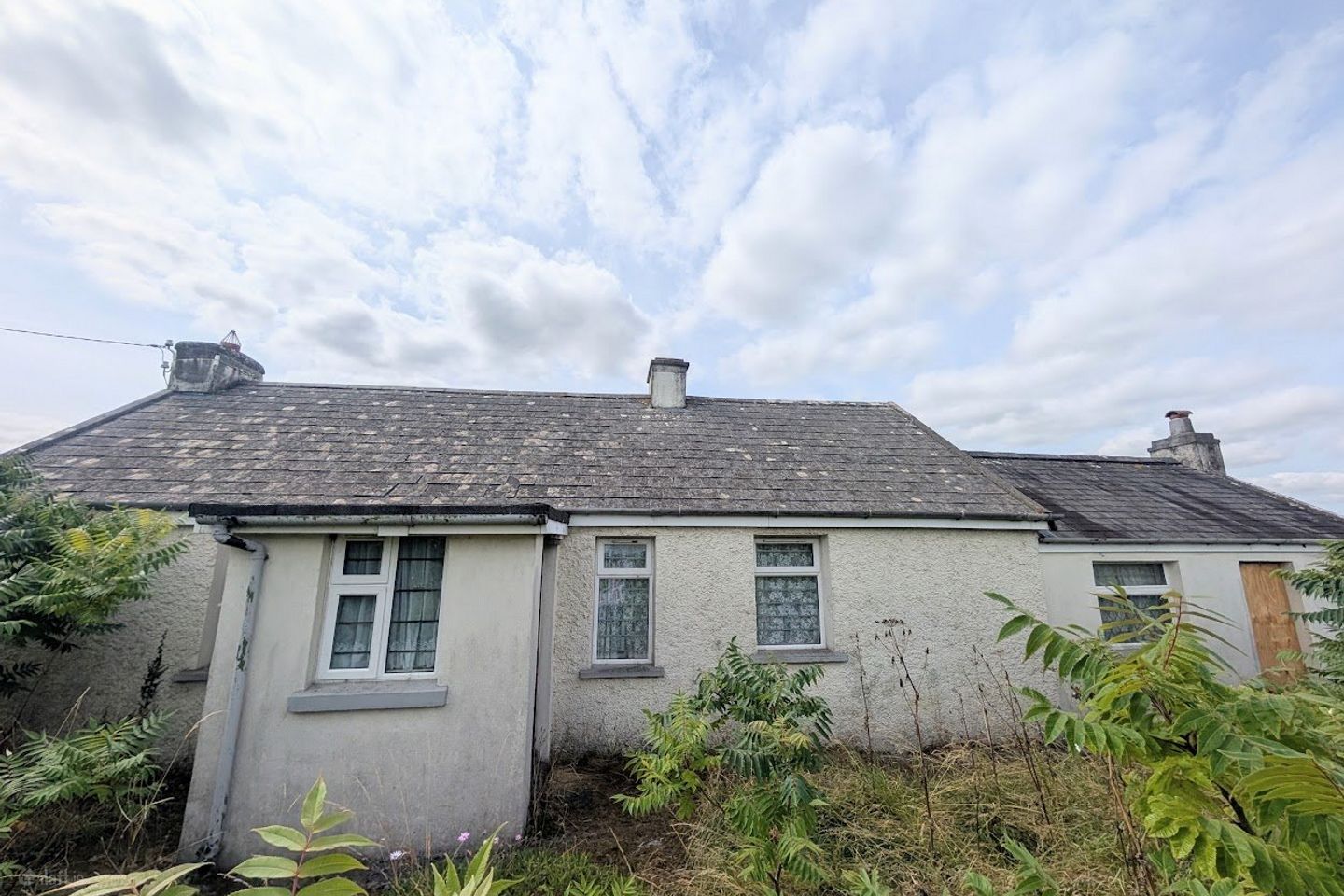 Clash, Toomevara, Nenagh, Tipperary, E45TX26