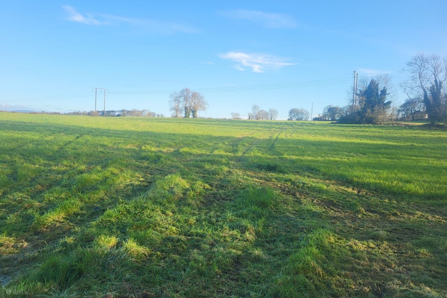 Ballysheedy, Ballysheedy, Co. Limerick