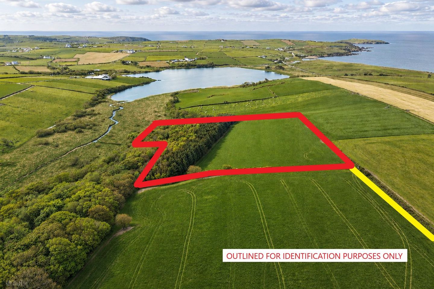 Castlefreke Island, Castlefreke, Co. Cork