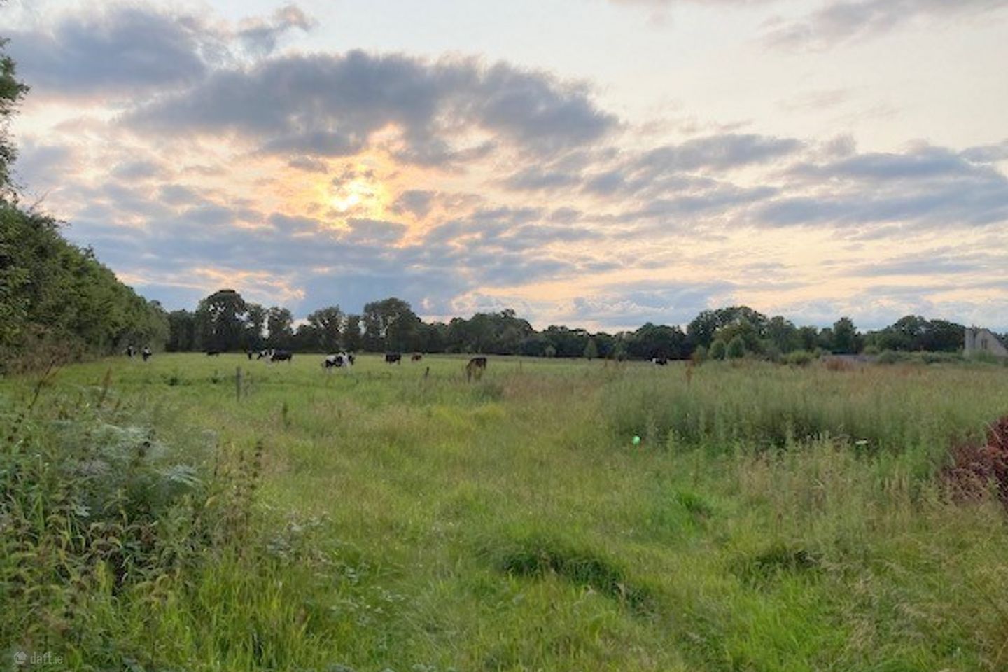 Faddan, Carrig, Birr