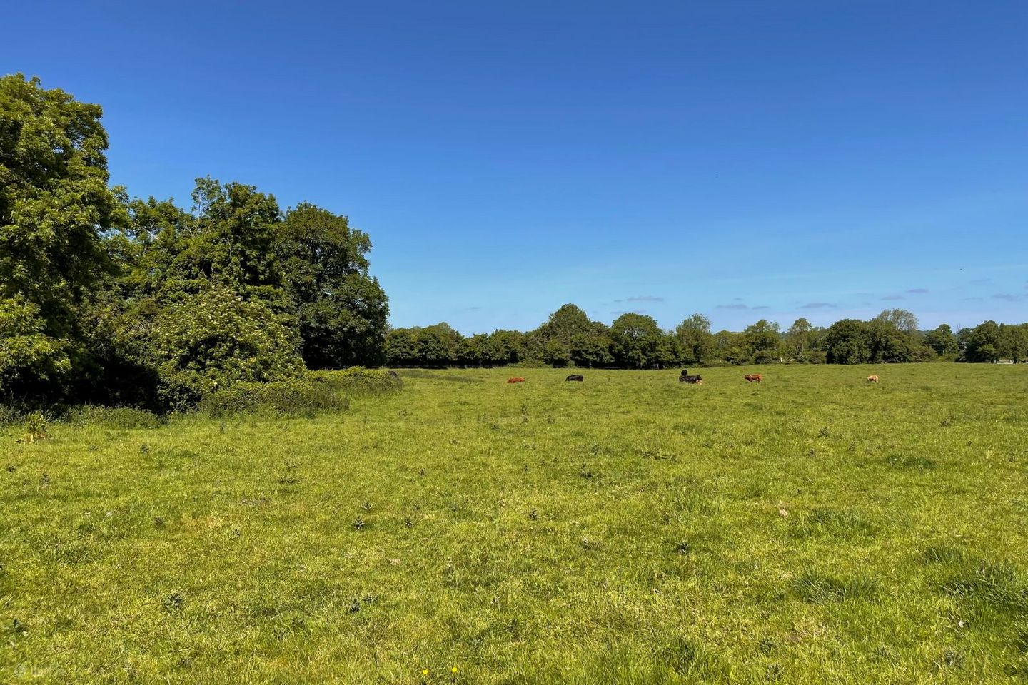 Drumquin, Teermaclane, Co. Clare