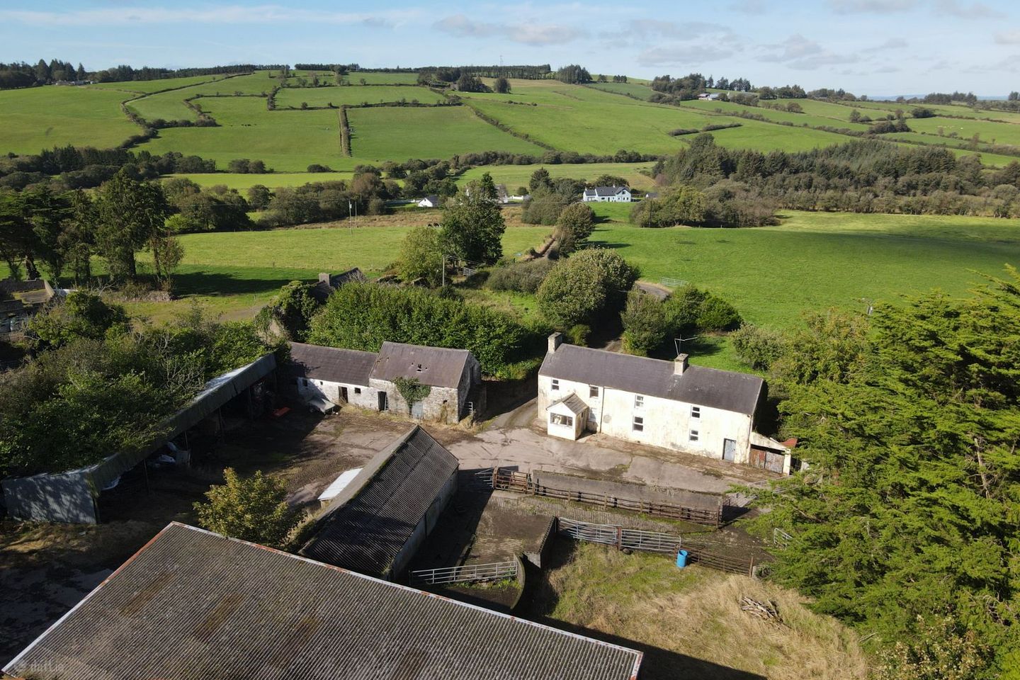 Tooreenbawn, Millstreet, Co. Cork, P51A0D7
