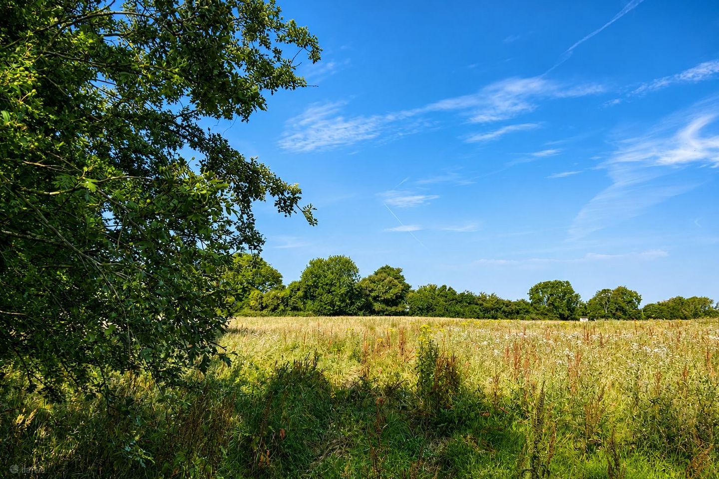 4.5 Acres, Thomastown, Kilcullen, Co. Kildare