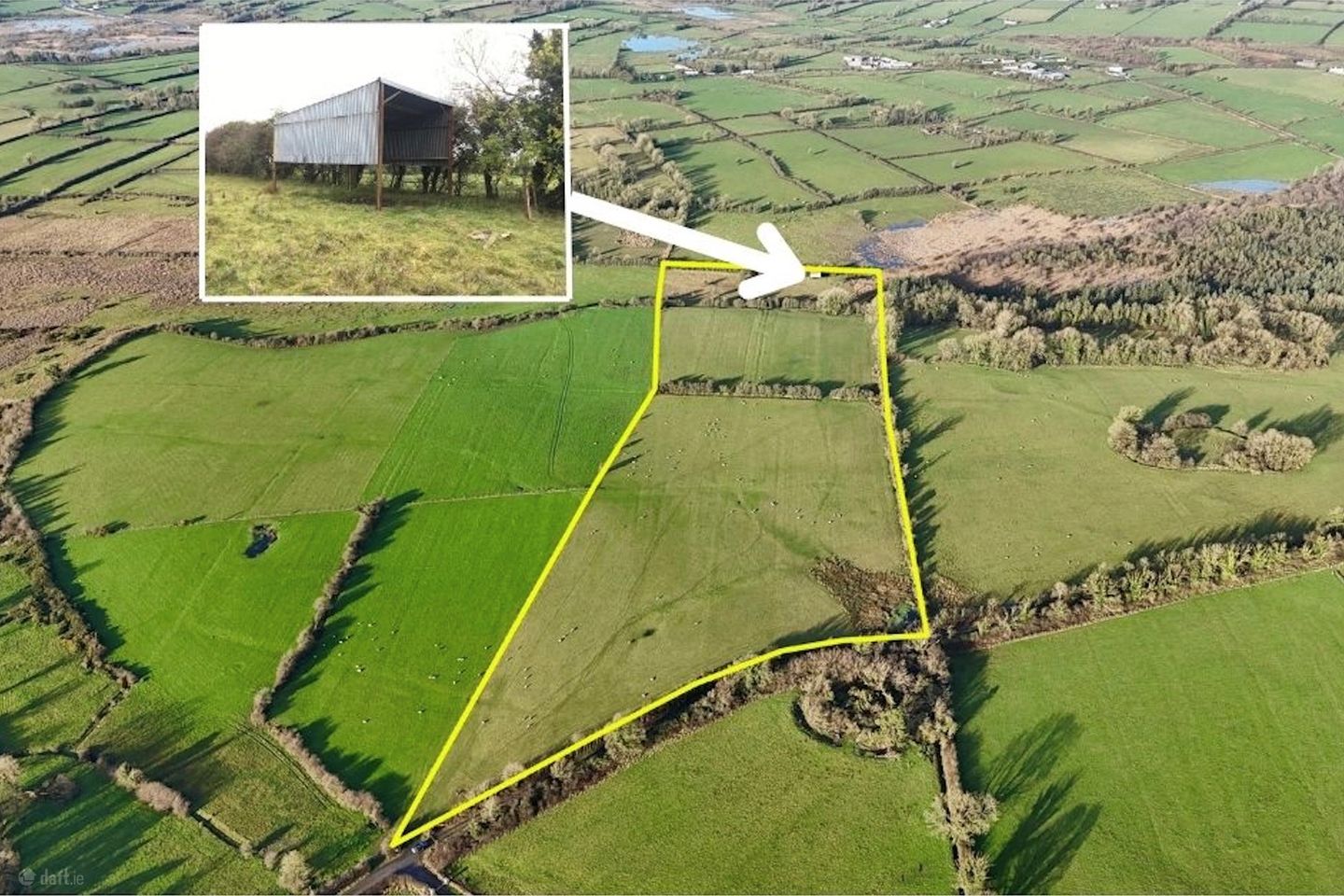 15.93 acres (approx.) at Cloonrane, Strokestown, Co. Roscommon