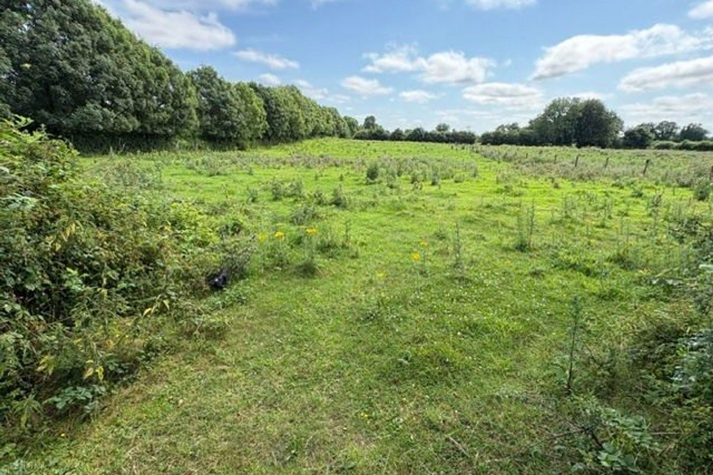 Hightown, Coralstown, Kinnegad, Co. Westmeath