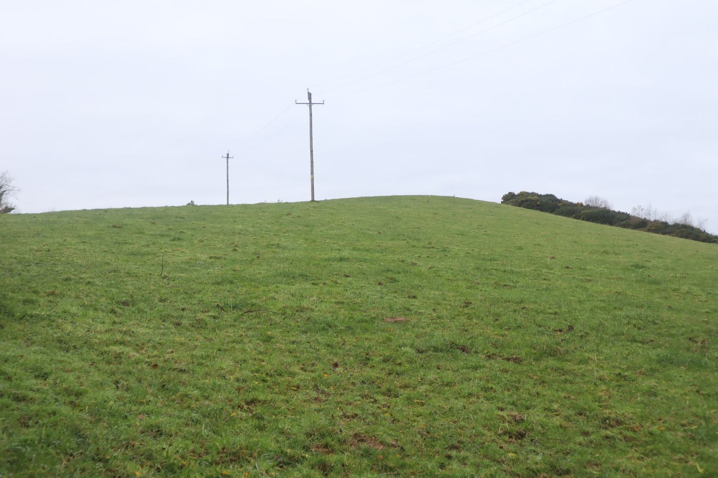 Commercial property for sale in Lisdrumturk, Carrickmacross, Co. Monaghan