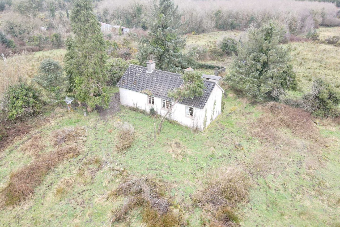 Cottage on c.24.06 acres Derryheelan, Drumlish, Co. Longford