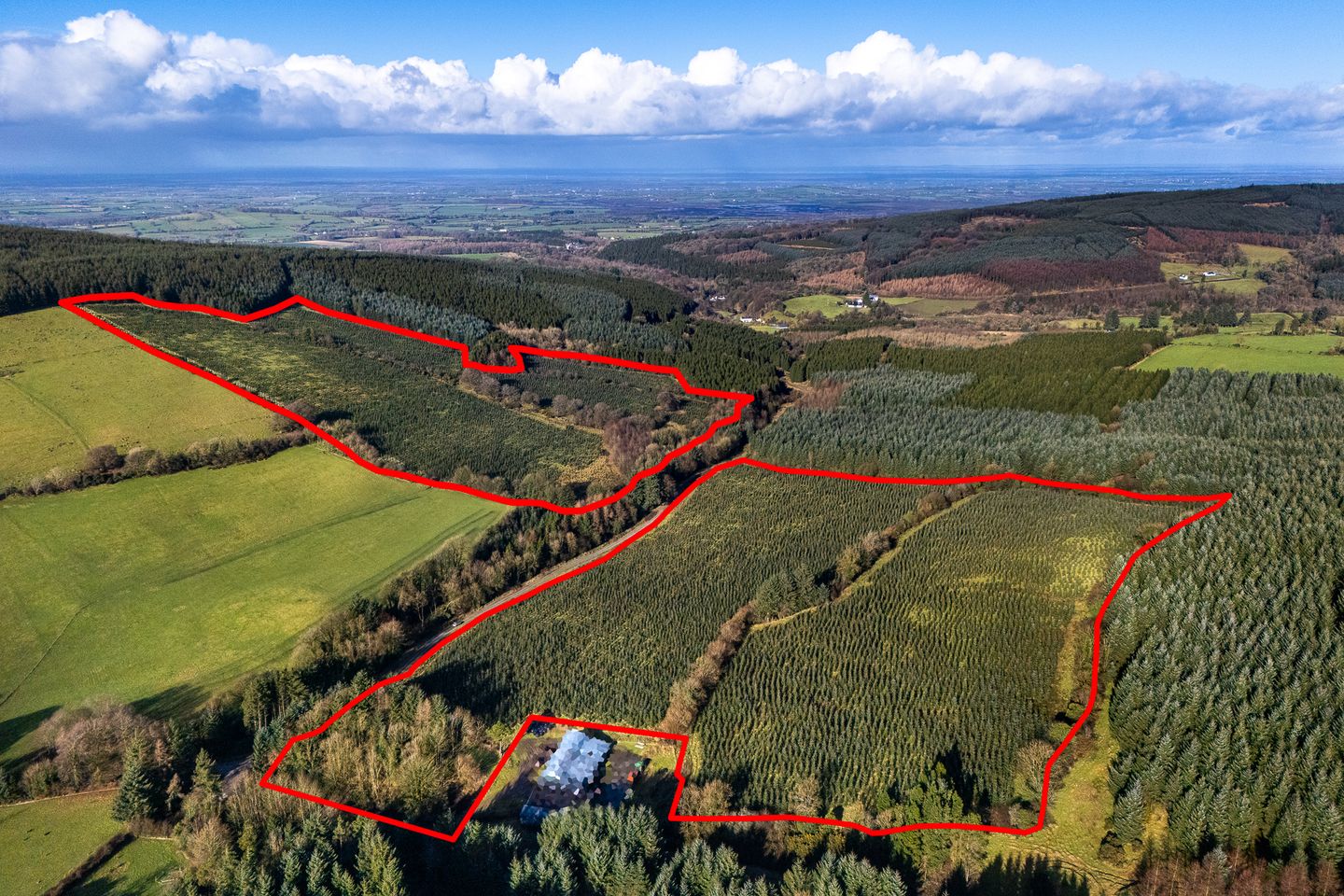 c. 56 Acres of Forestry Forelacka, Kinnitty, Co. Offaly is for sale on