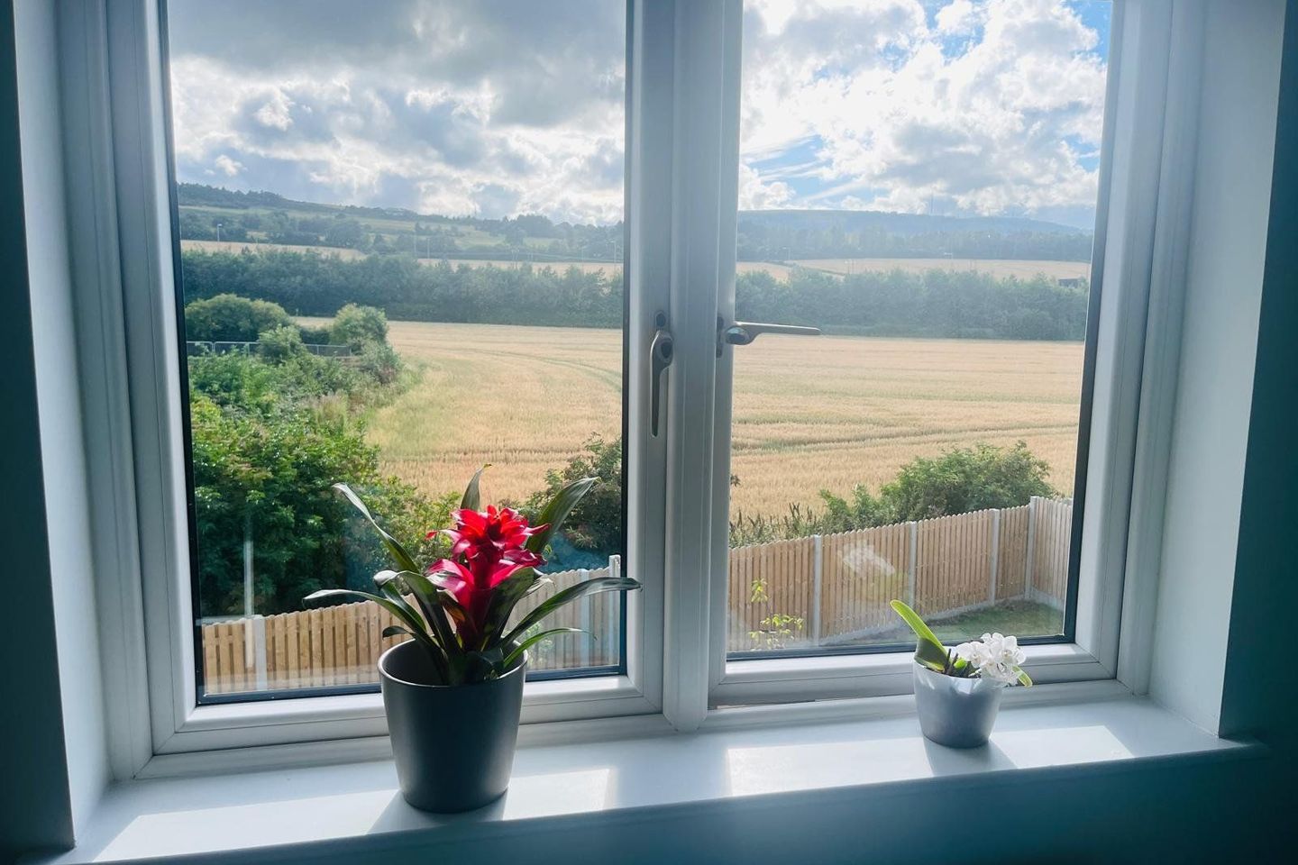 8 Mercer Close, Cherrywood - Image 18