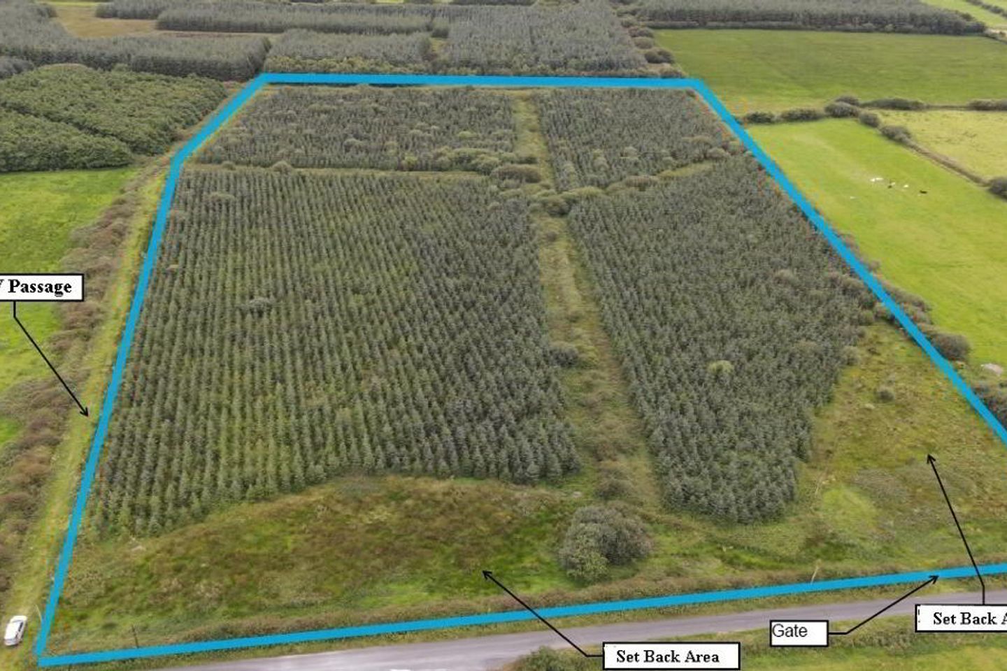 Cloonmore, Doonbeg, Co. Clare