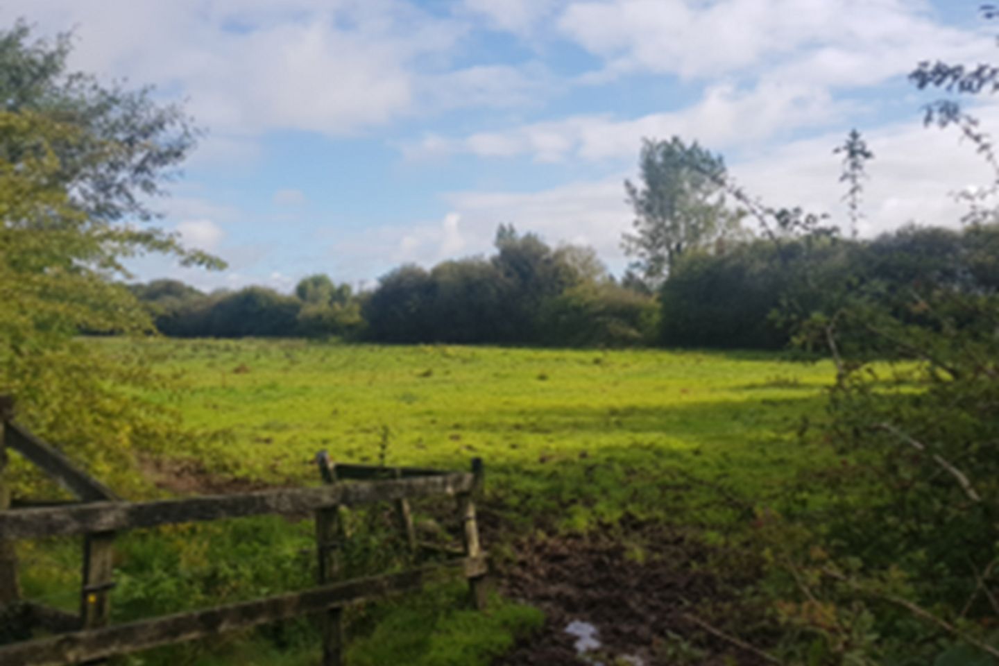 Commercial property for sale in Loughanure, Clane, Co. Kildare