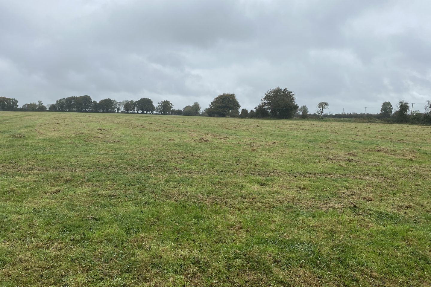 Ballymackey, Nenagh, Co. Tipperary