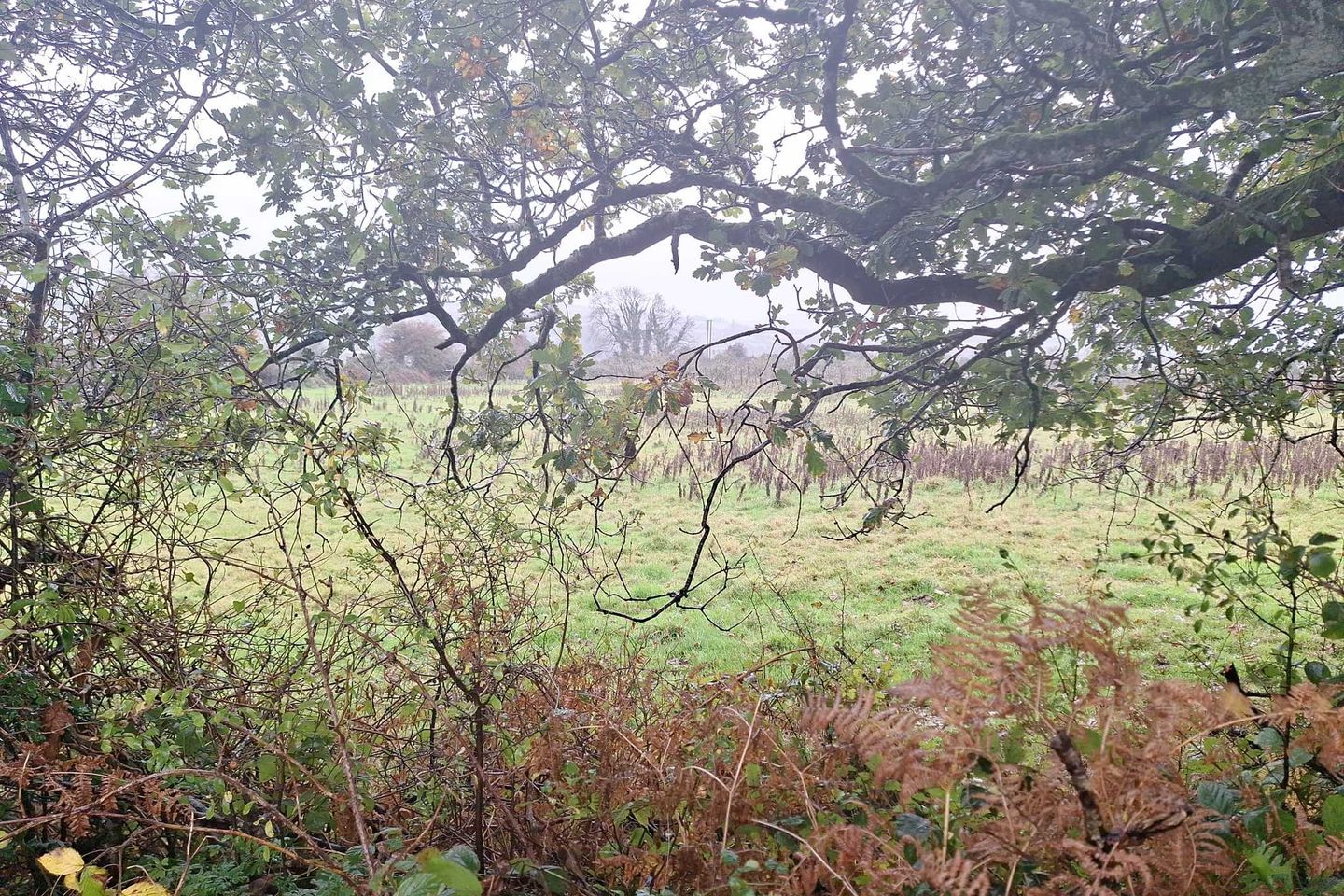 Bengour West, Lissarda, Co. Cork is for sale on Daft.ie