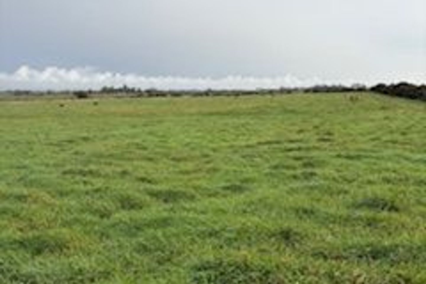 Rathduff, Balla, Castlebar, Mayo, Co. Mayo, F23VY64