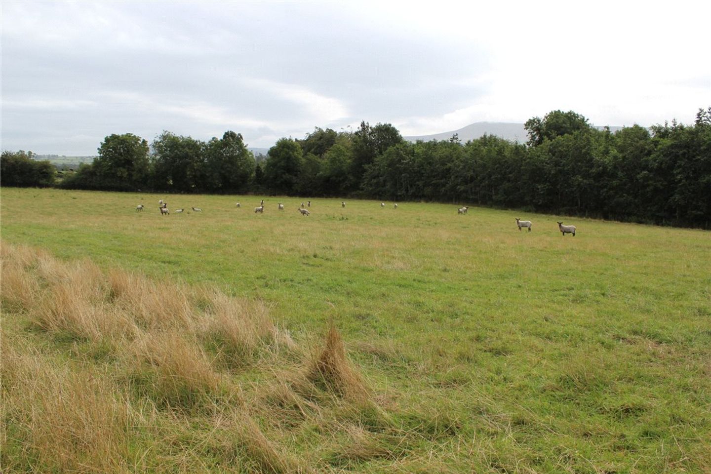 Sites For Sale, Corrie Beg, Bagenalstown, Co. Carlow