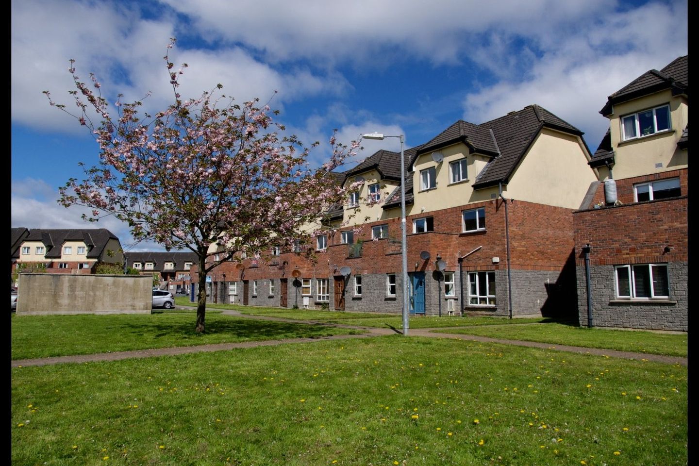 Oakleigh Wood, Dooradoyle, Limerick, Ballyclough, Co. Limerick