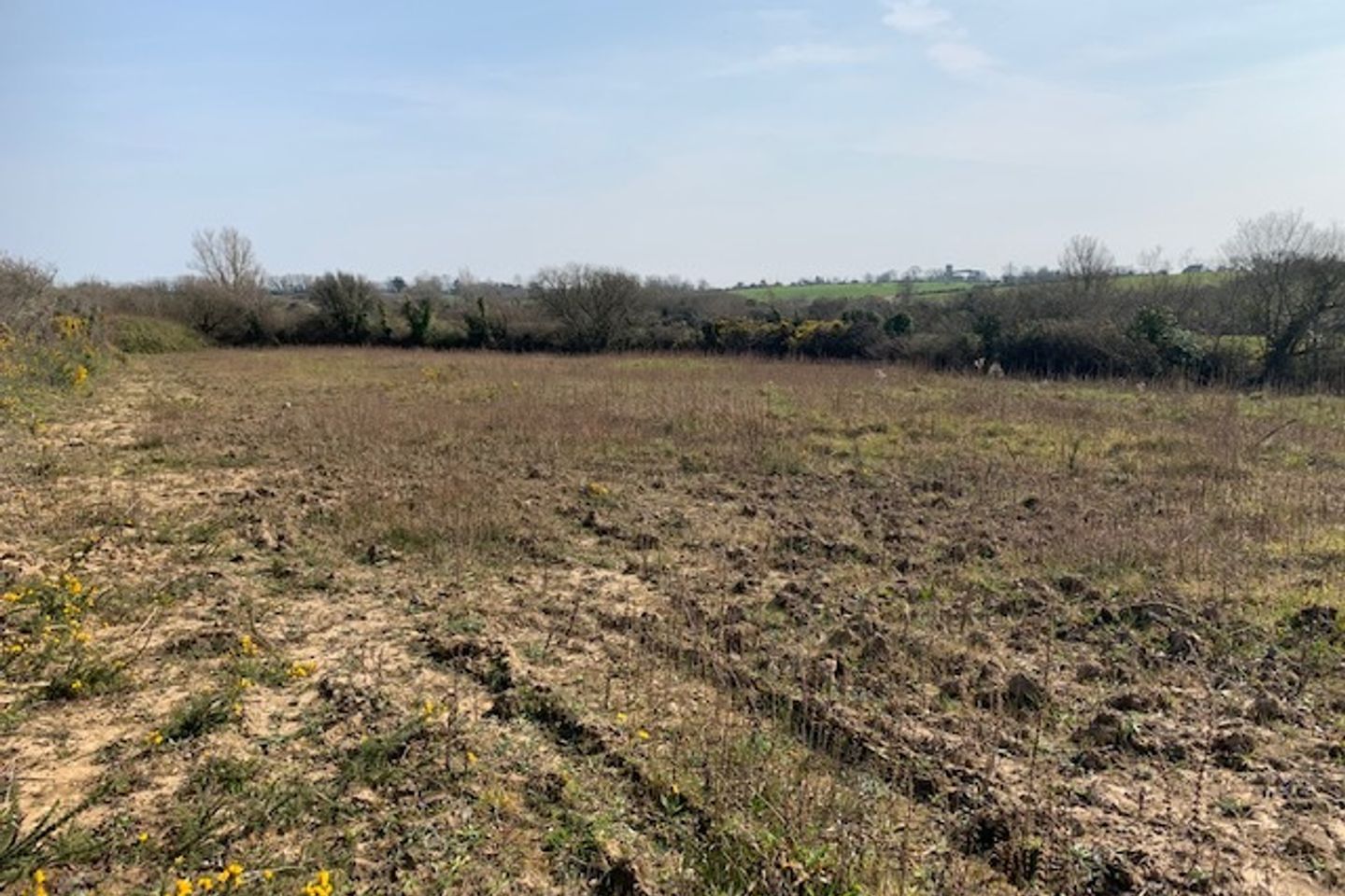 Commercial property for sale in Johnstown, Ardcavan, Curracloe, Co. Wexford