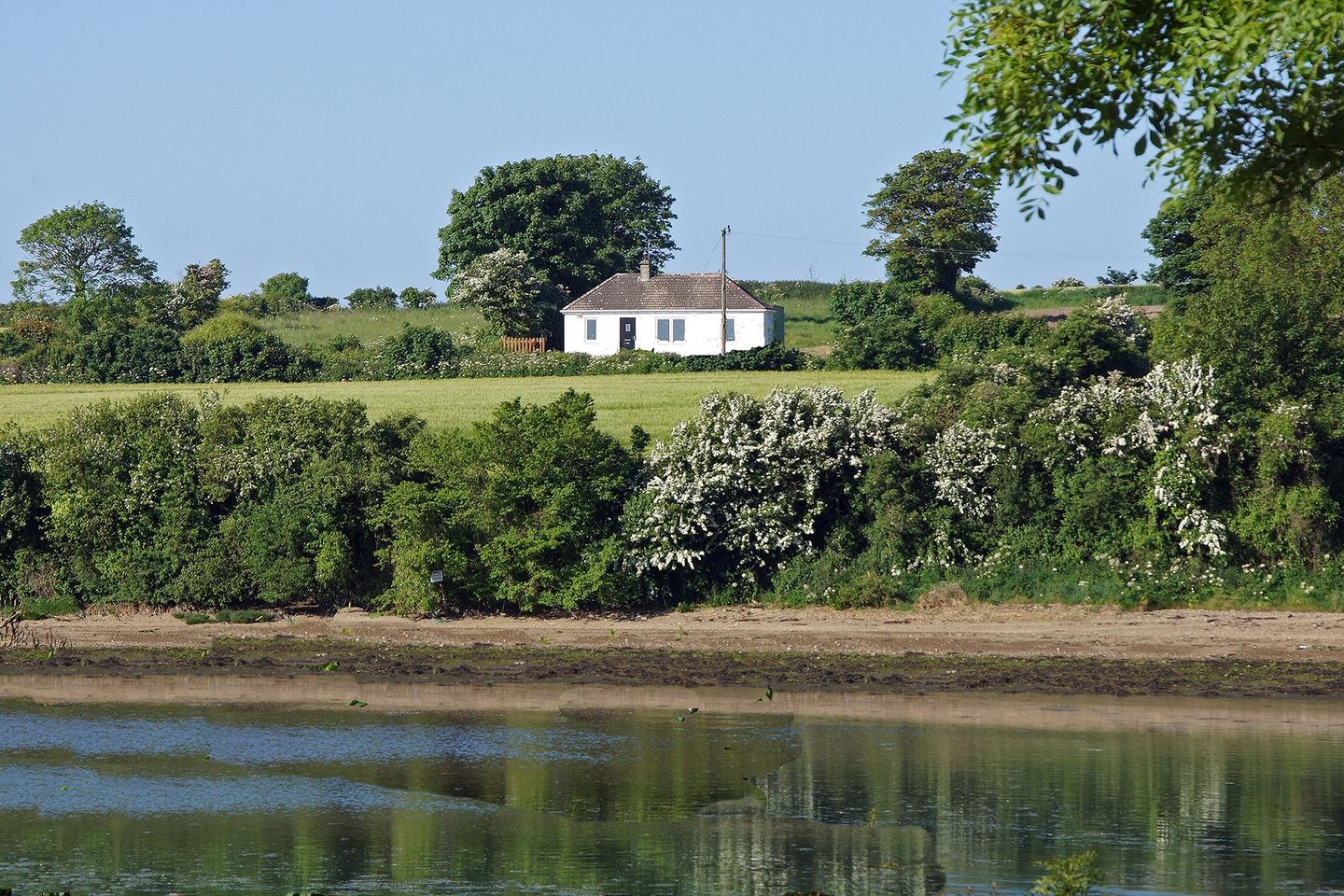 Saltmills (I397), Fethard-On-Sea, Co. Wexford