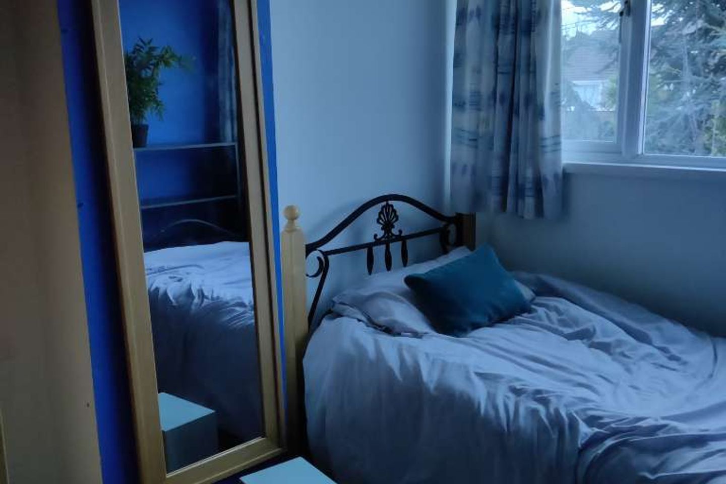 Brooklawn Wood, Blackrock, Co. Dublin