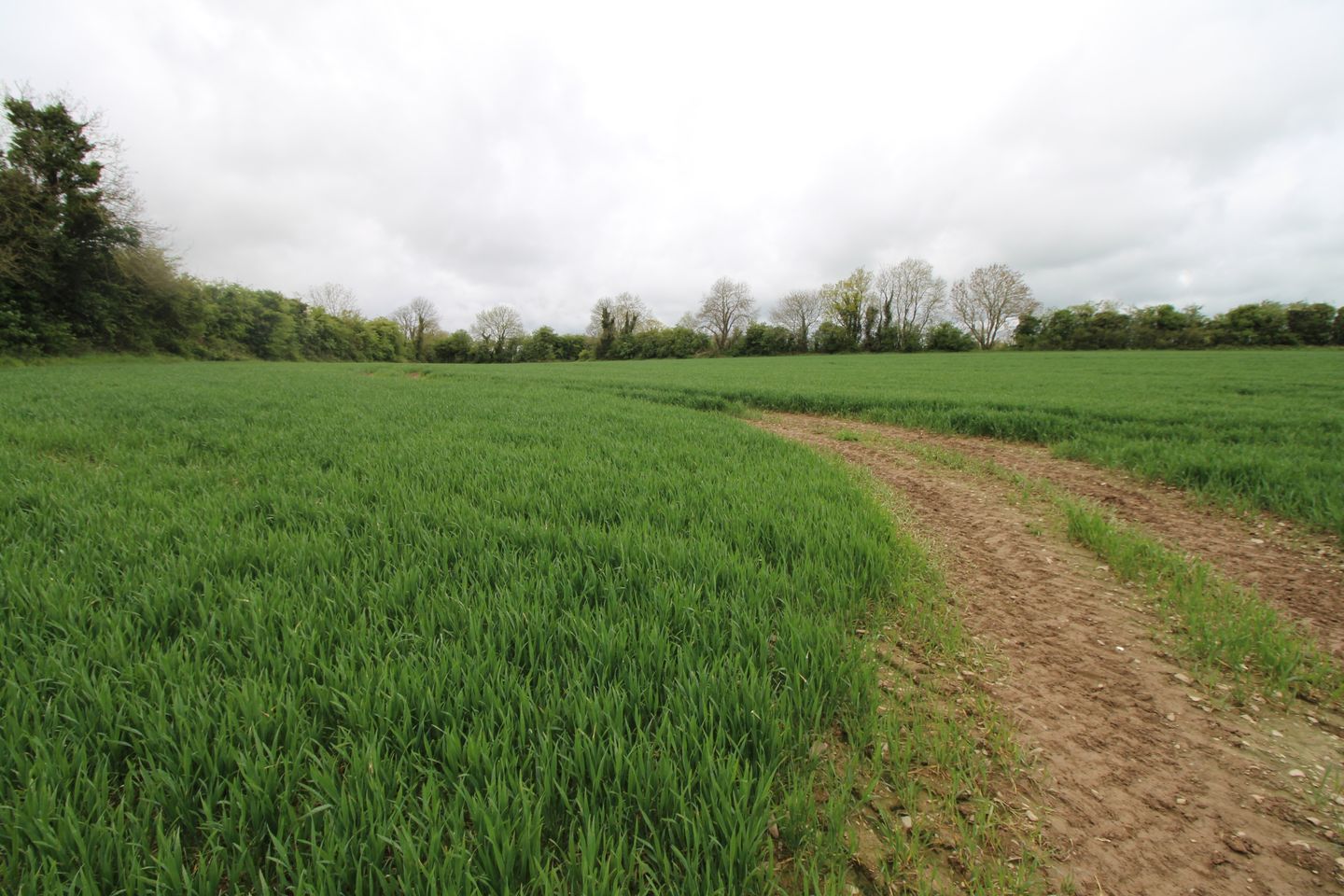 Rochestown, Slane, Co. Meath