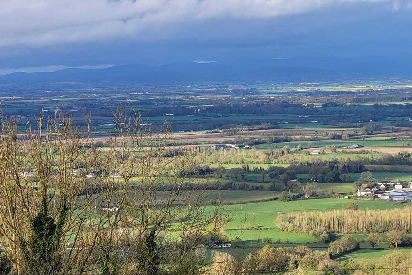 Site at Springhill, Killeshin, Co. Laois is for sale on Daft.ie