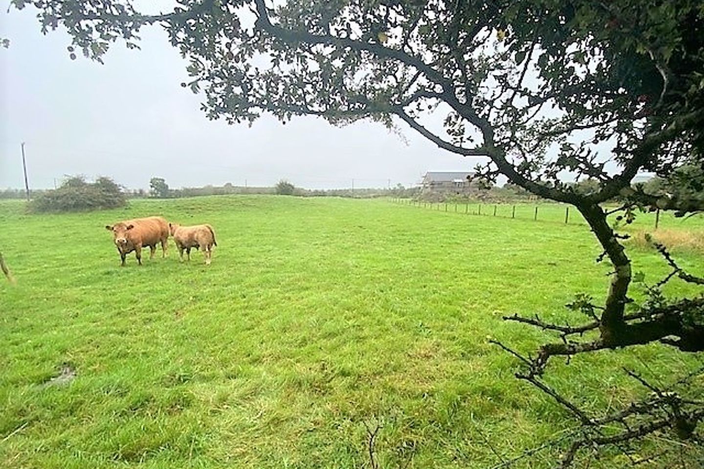 Belcarra, Castlebar, Co. Mayo is for sale on Daft.ie