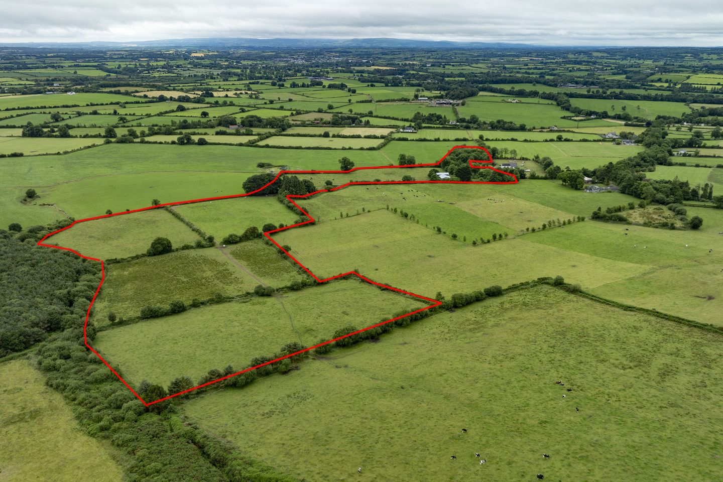 Commercial property for sale in Ballyhoura, Buttevant, Co. Cork