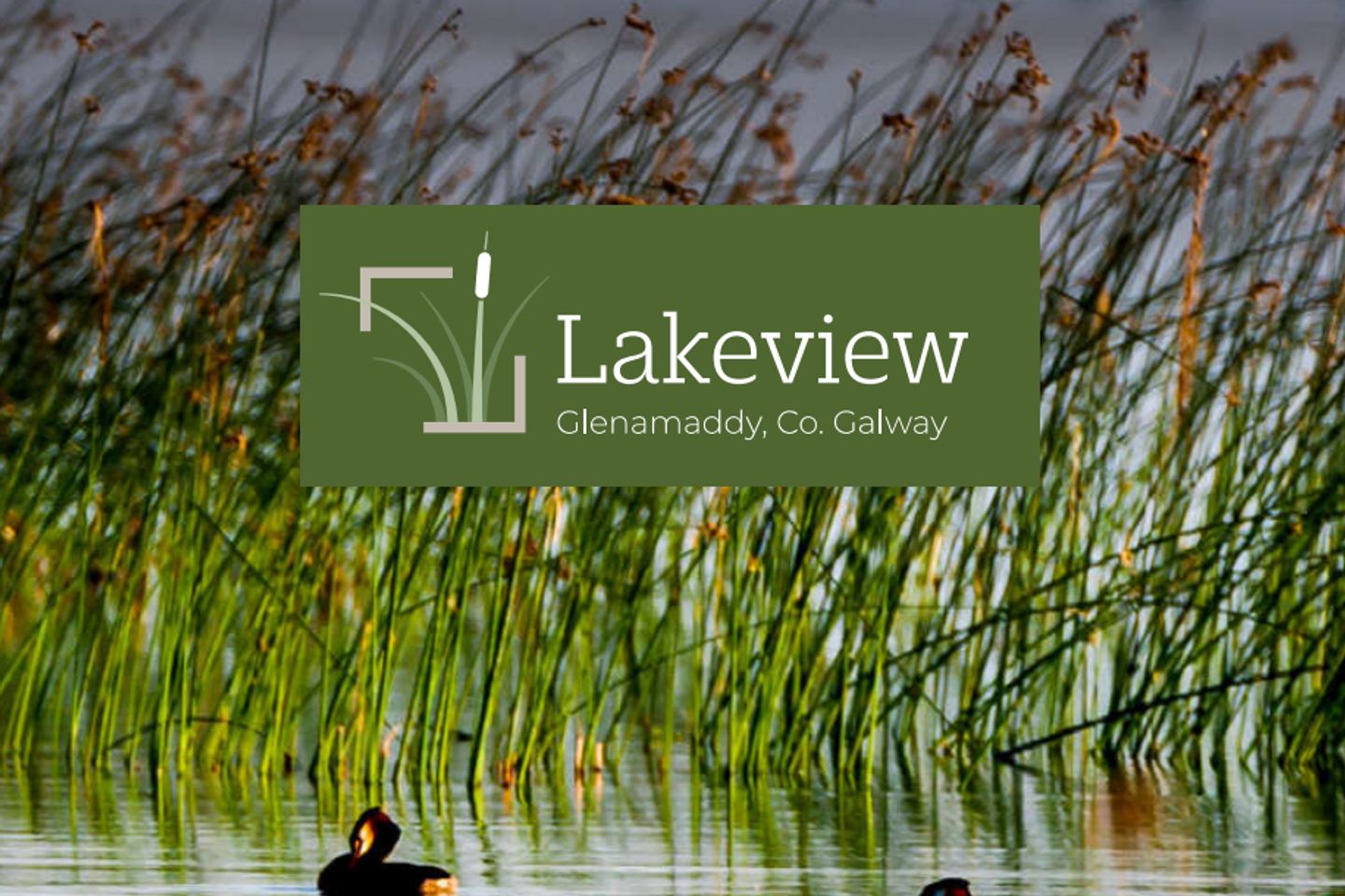 Lakeview, Glenamaddy, Glenamaddy, Co. Galway