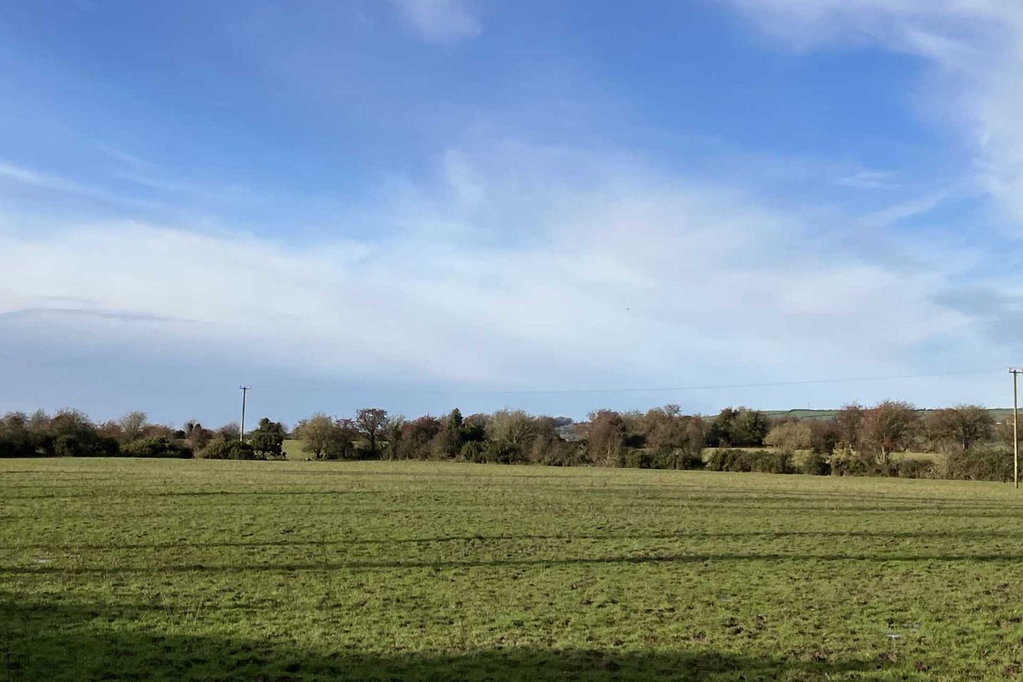 Commercial property for sale in Loughaderra, Kilmountain, Midleton, Co