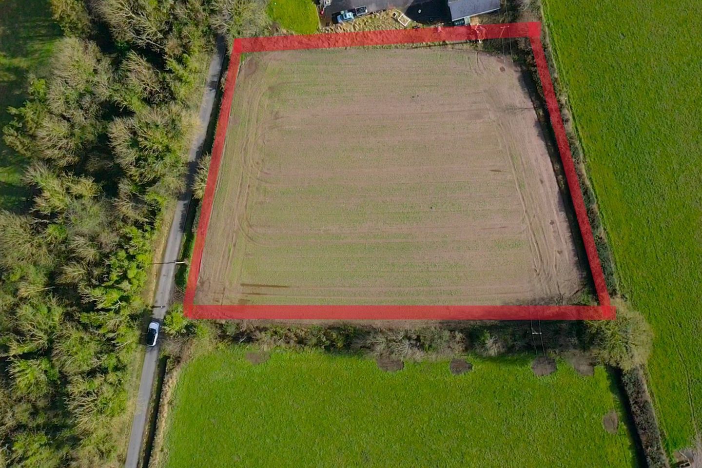 Irey, Ballyfin, Co. Laois