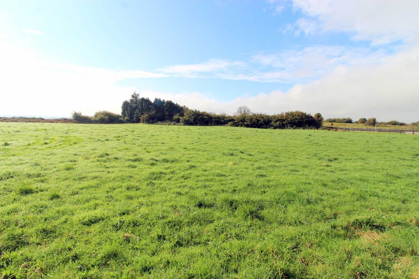 Cragataska, Quin, Co. Clare, Quin, Co. Clare