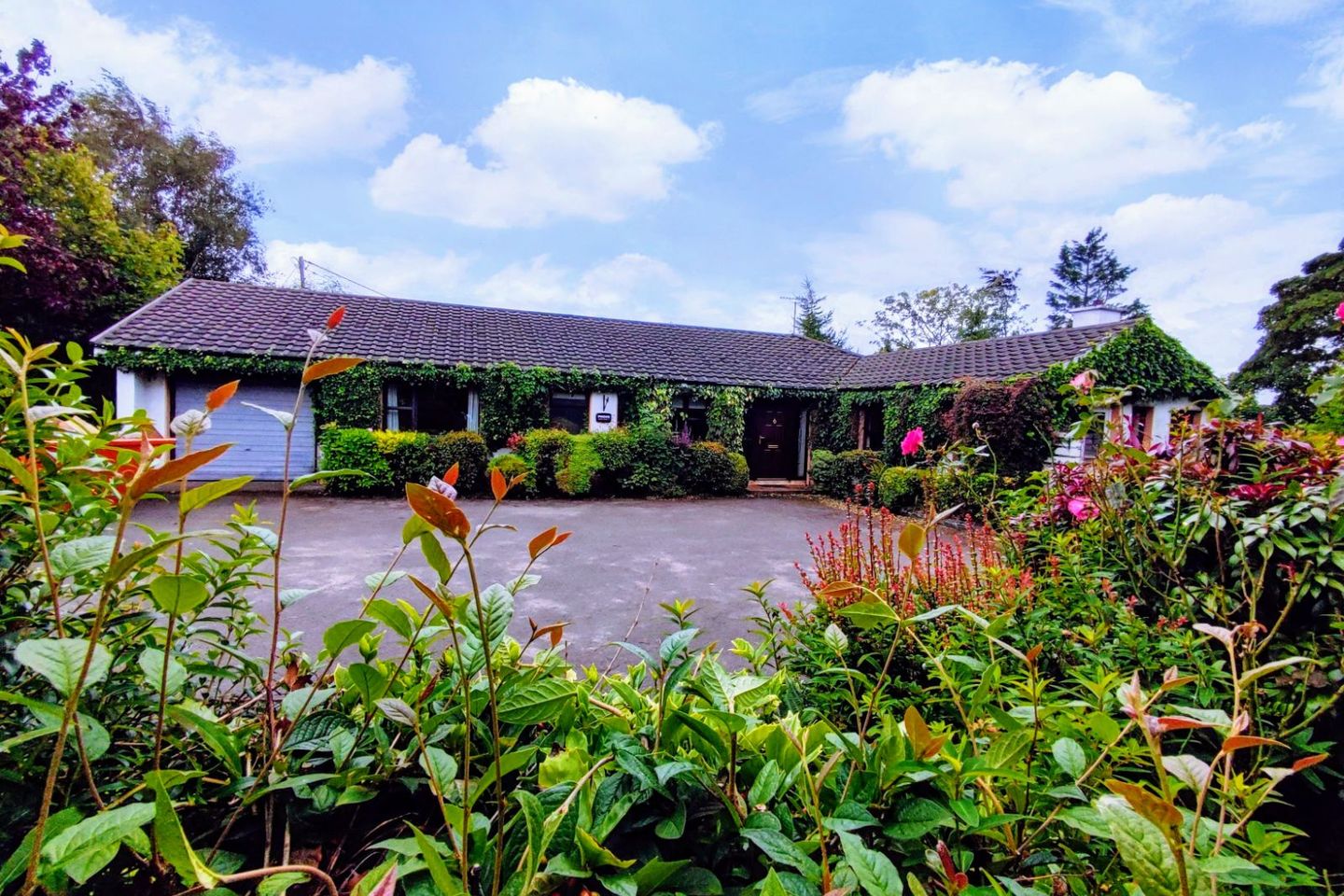 Ard Caorthainn, Kiltoy, Letterkenny, Co. Donegal, F92W2FE