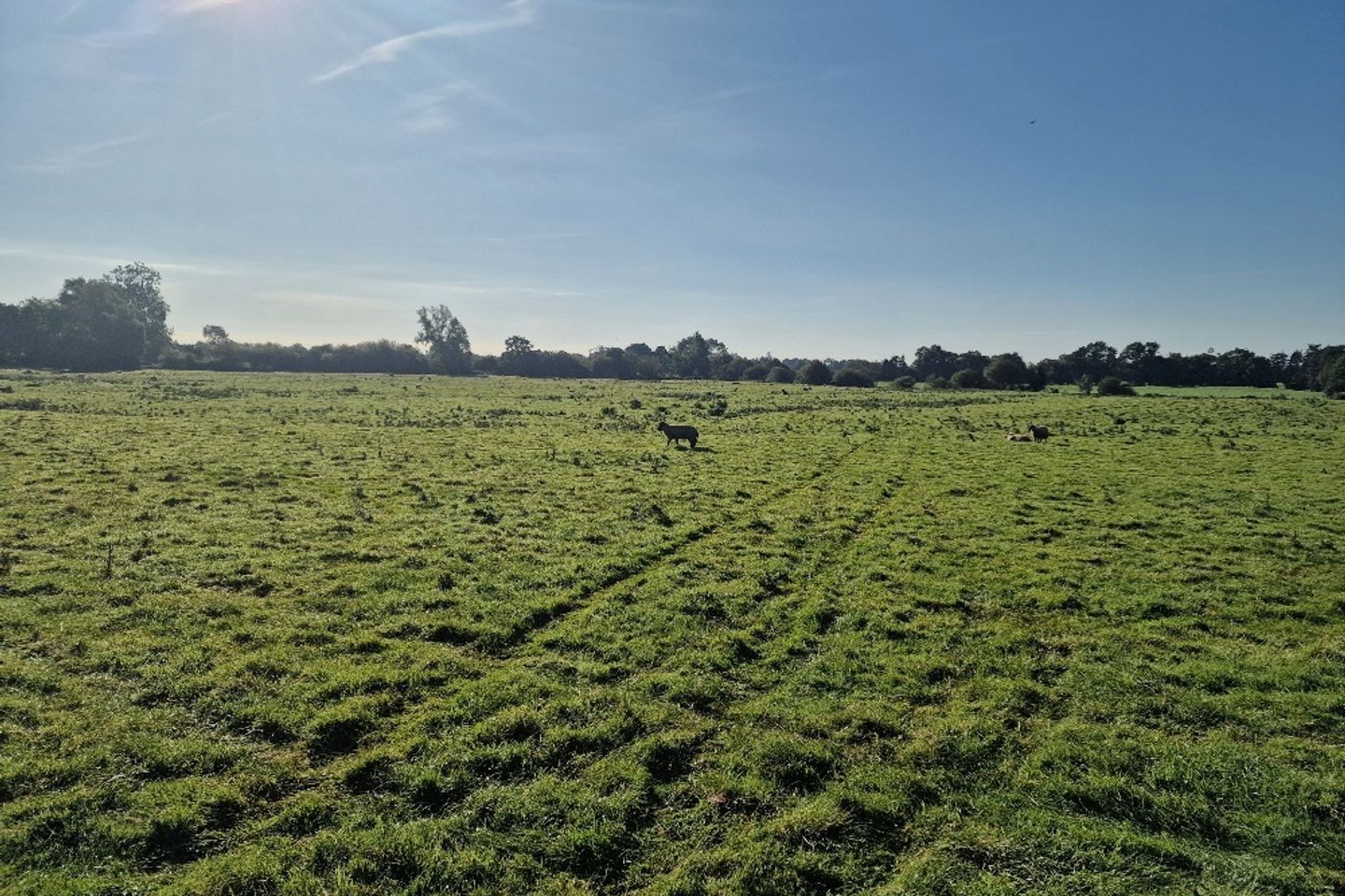 Sedenrath, Kells, Co. Meath