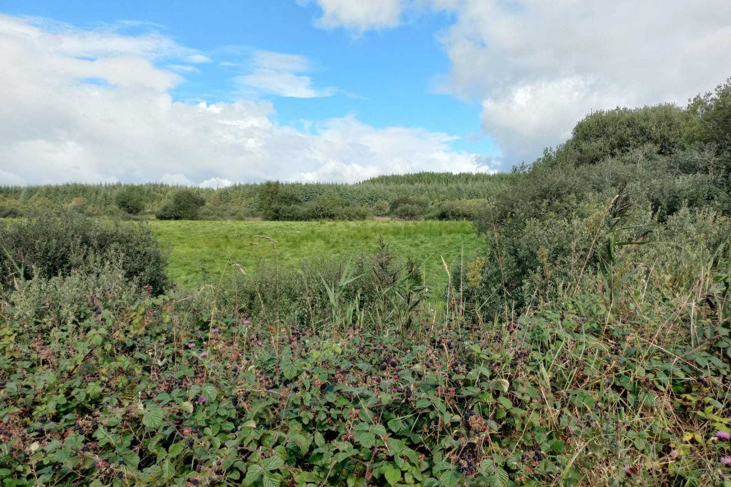 Glann, Kilkelly, Co. Mayo