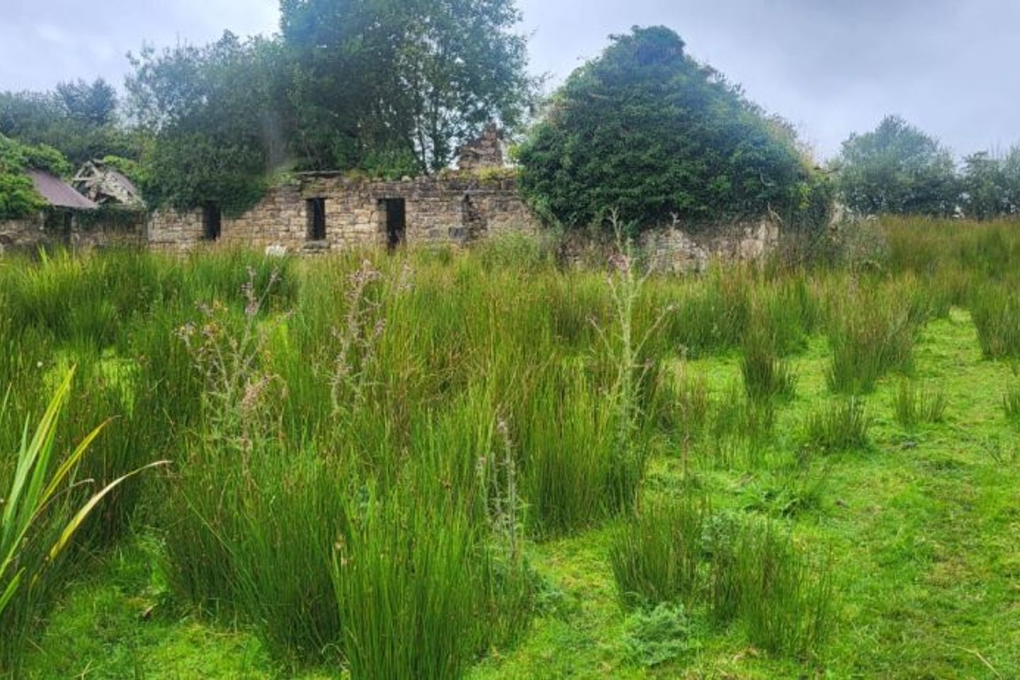 Annagh, Killargue, Co. Leitrim