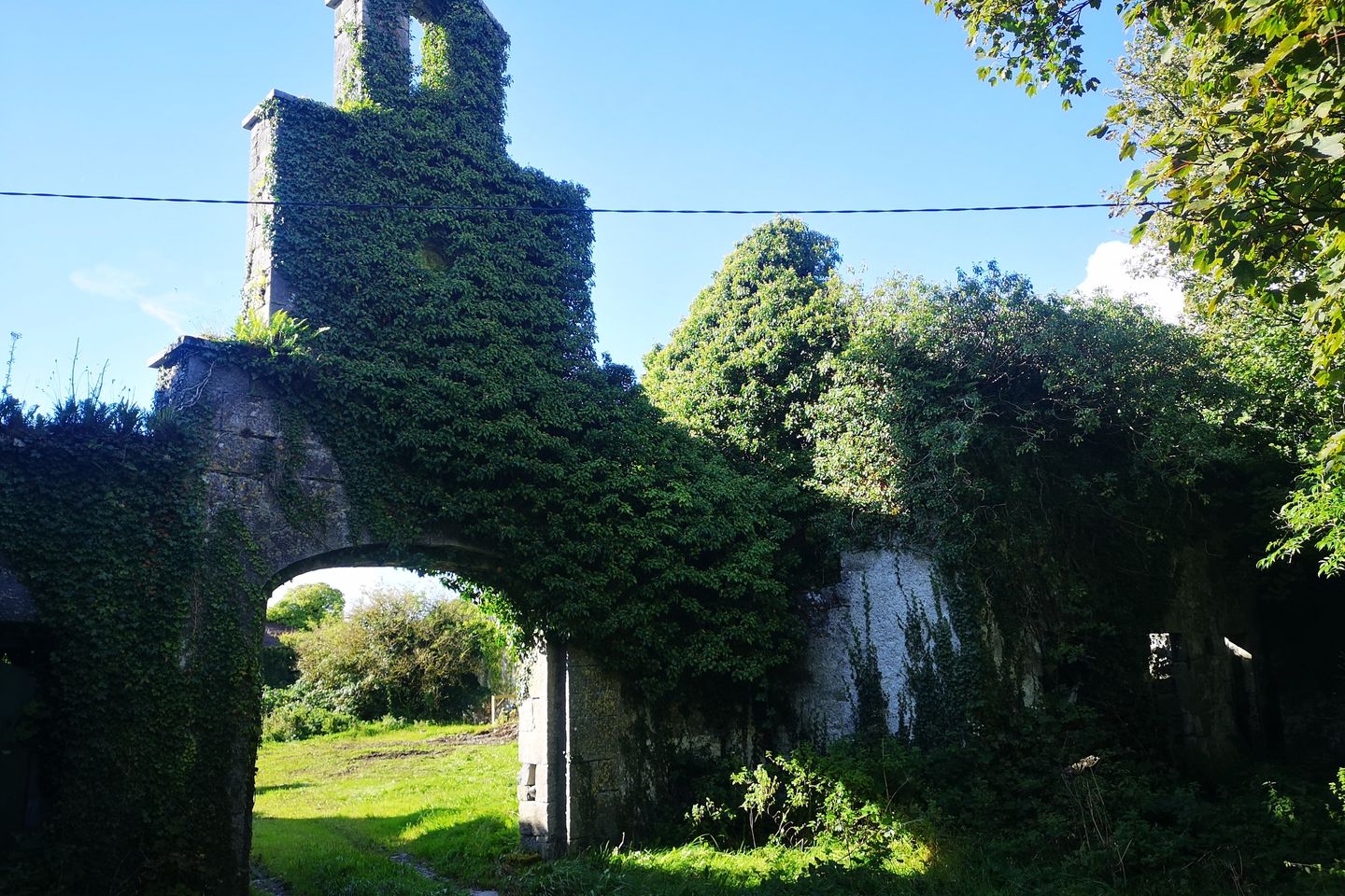 Moyode Demesne, Athenry, Co. Galway