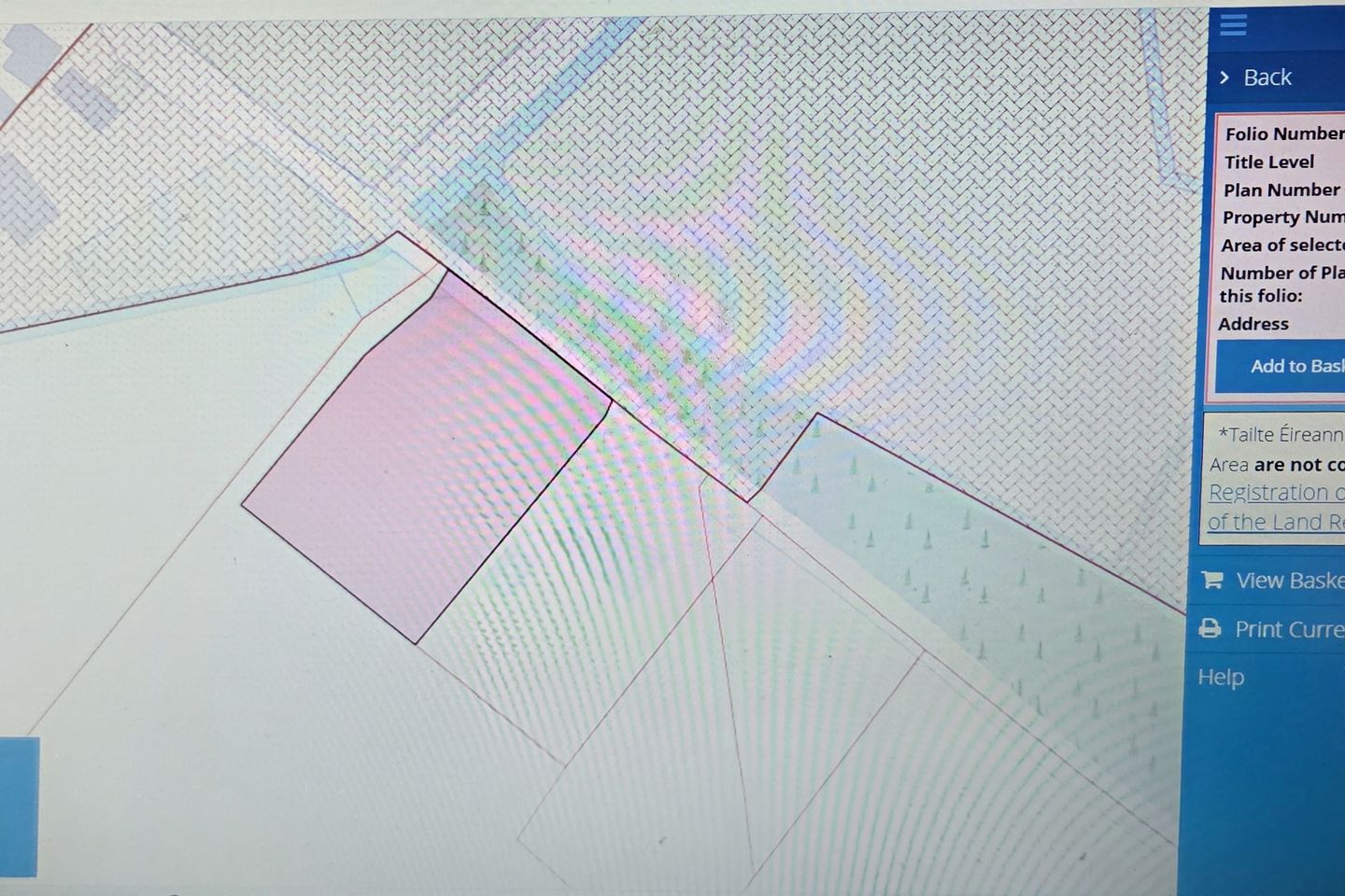 Curragh, Williamstown, Co. Galway