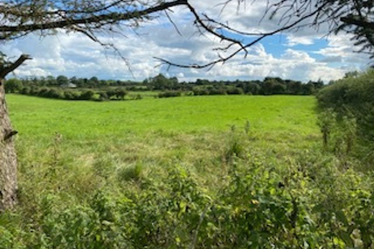 Commercial property for sale in Lisnapora, Castlebar, Co. Mayo