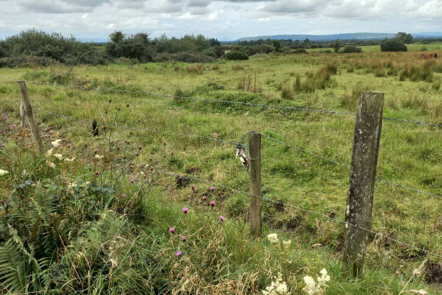 Casheltoruly, Aghamore, Ballyhaunis, Co. Mayo is for sale on Daft.ie