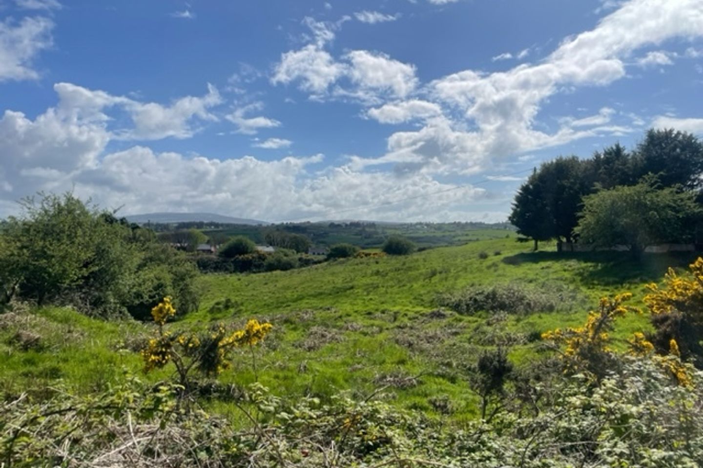 Commercial property for sale in Cullenagh, Ennistymon, Co. Clare